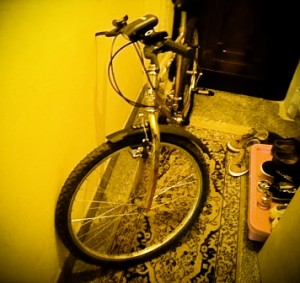 bicla
