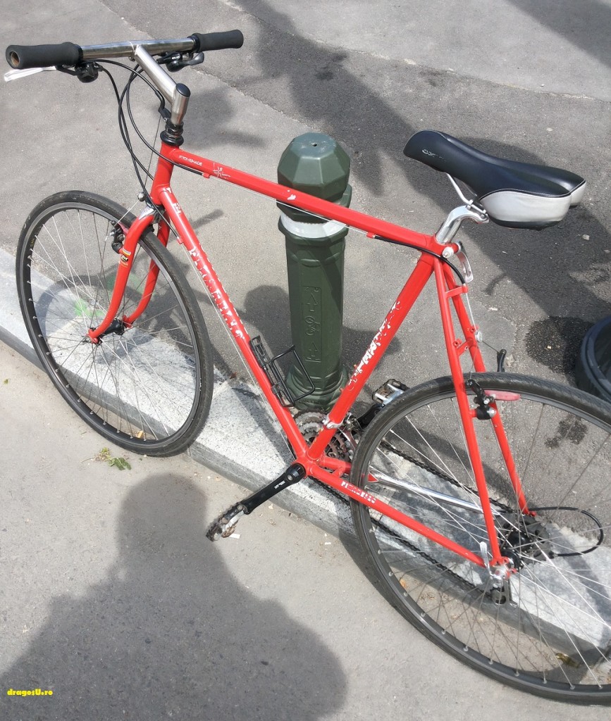 bicicleta-mea
