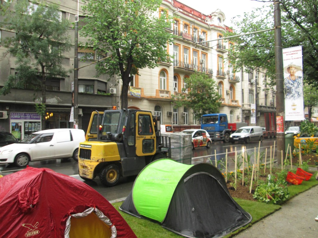 protest-bio (13)