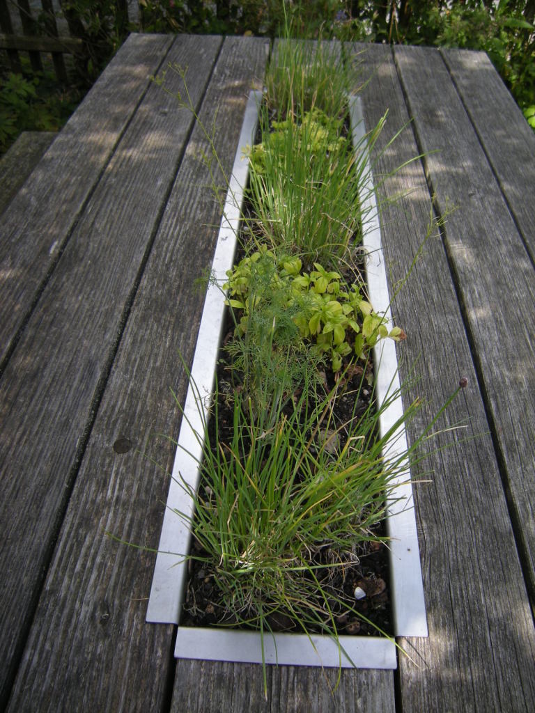 Masa verde in Gradina Botanica din Augsburg