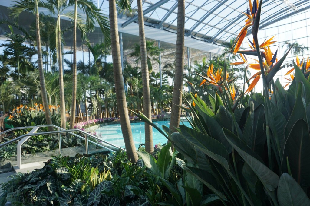 therme_bucuresti1
