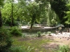 central_parck_bucuresti-2