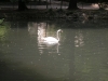 central_parck_bucuresti-3