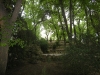 central_parck_bucuresti-7