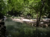 central_parck_bucuresti