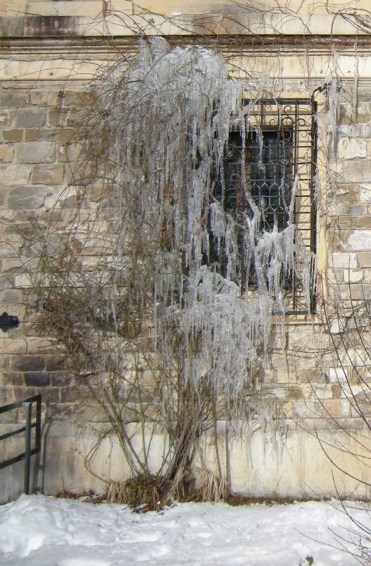Țurțuri de la Peles
