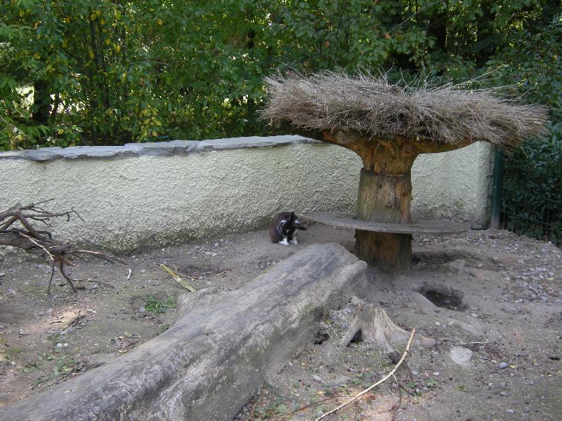 Grădina zoologică din Augsburg