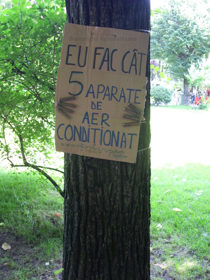 Mai ai ceva de spus?