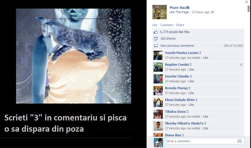 30000 de prosti pe Facebook