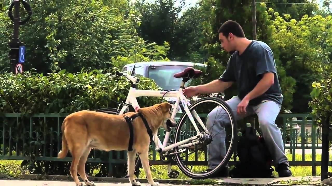 Cat de usor se poate fura o bicicleta in Bucuresti