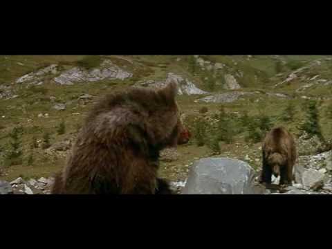 Cine ţine cu ursul?