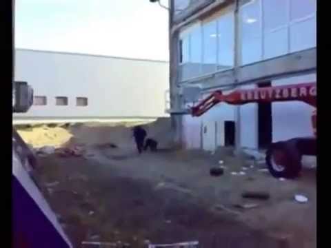 Prima zi la lucru se încheie nasol