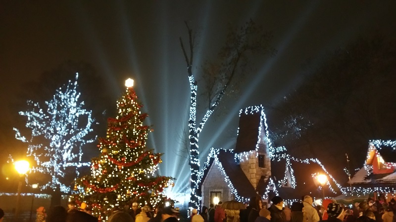 Luminițe de Crăciun în Parcul Mogoșoaia