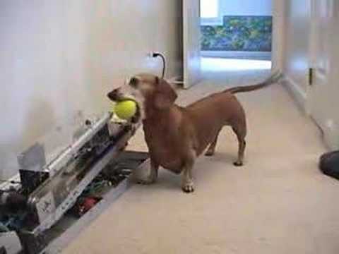 Tehnologie canina